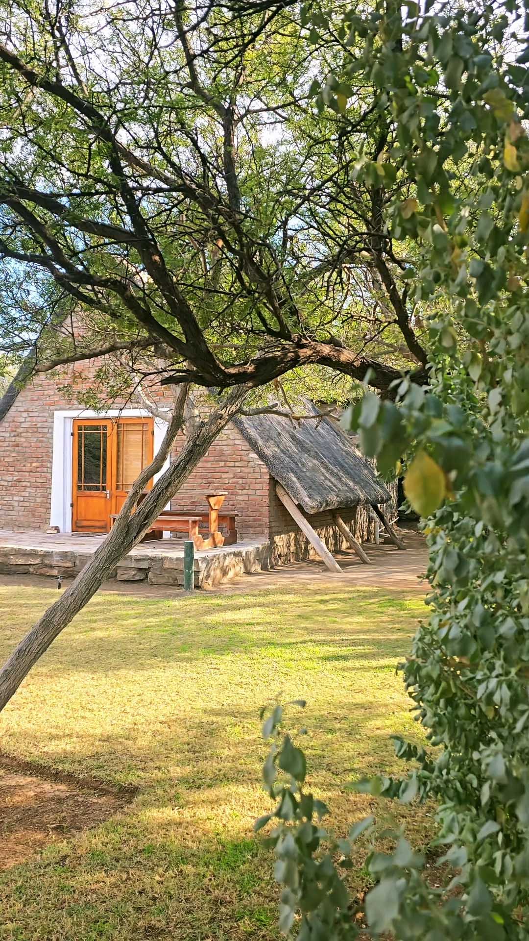 CONTRAST AND CLARITY FINAL