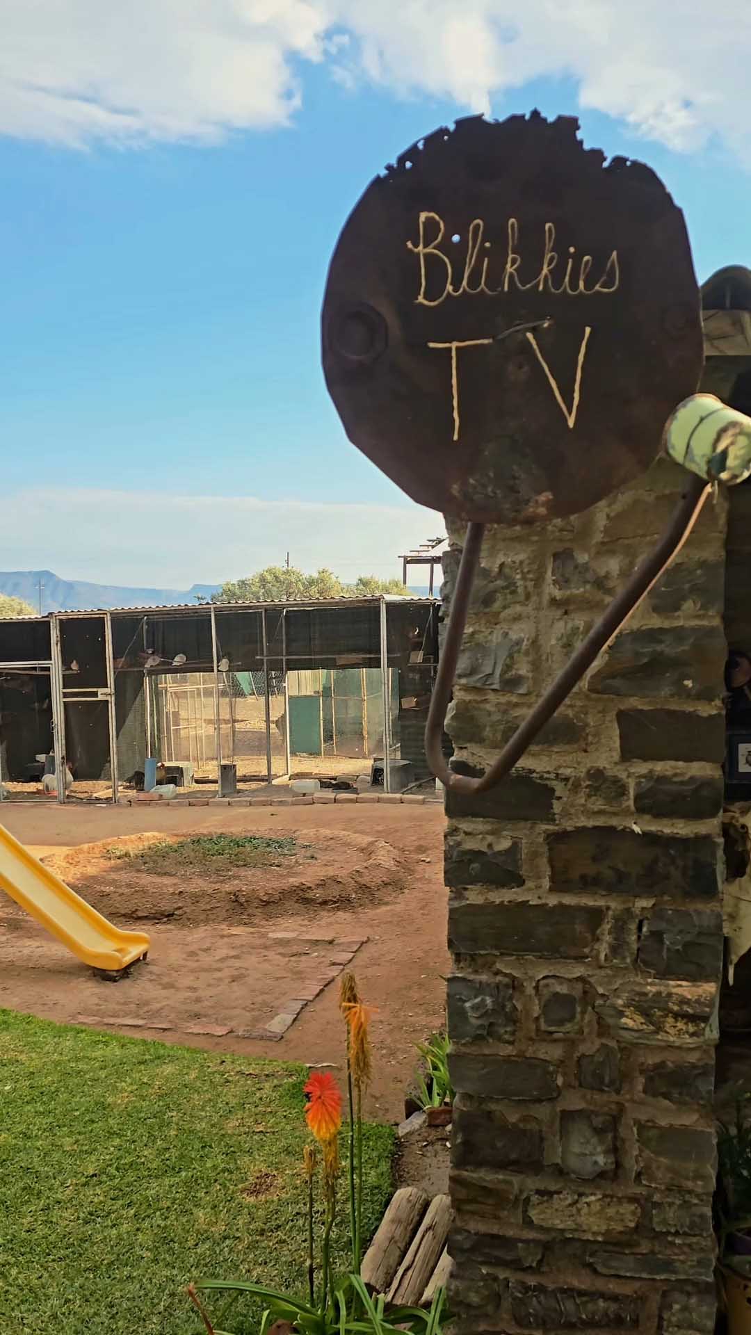 YELLOW AND CLARITY FINAL